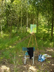 Woodland studio