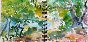 Looking down over Kerasia beach from the olive grove.