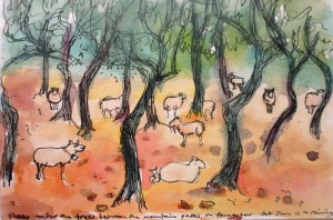 'Sheep under the trees, Mallorca'