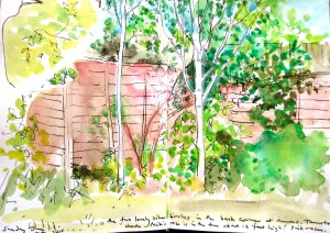The silver birches, mums garden. Last page in my sketchbook. You can just see the beak of the plastic heron peeking out from the page underneath. There is a corner torn off the page