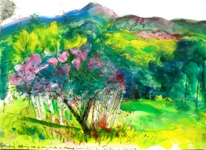 Pen and watercolour, The Garden, Vermont